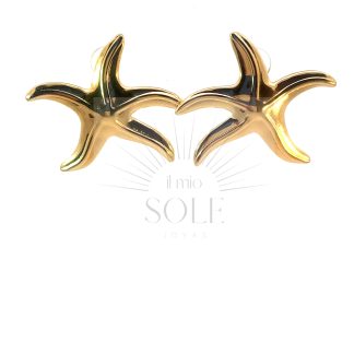 Pendiente Estrella de Mar