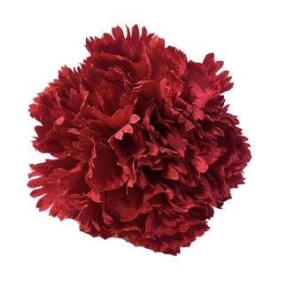 Clavel Rojo
